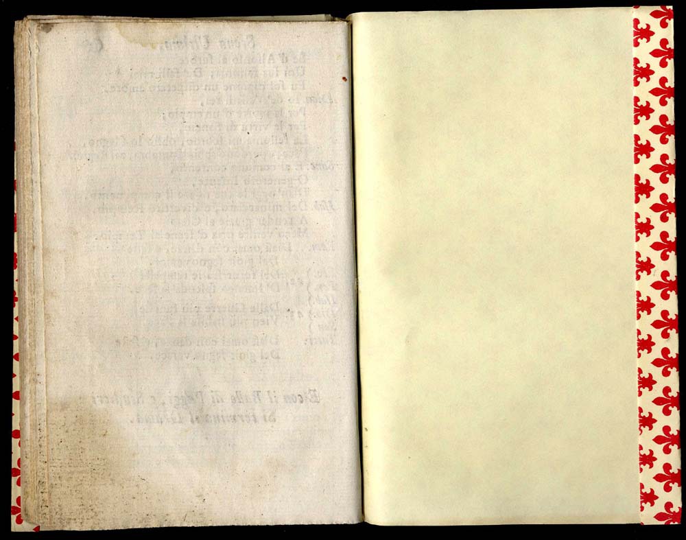 Dionisio re di Portogallo