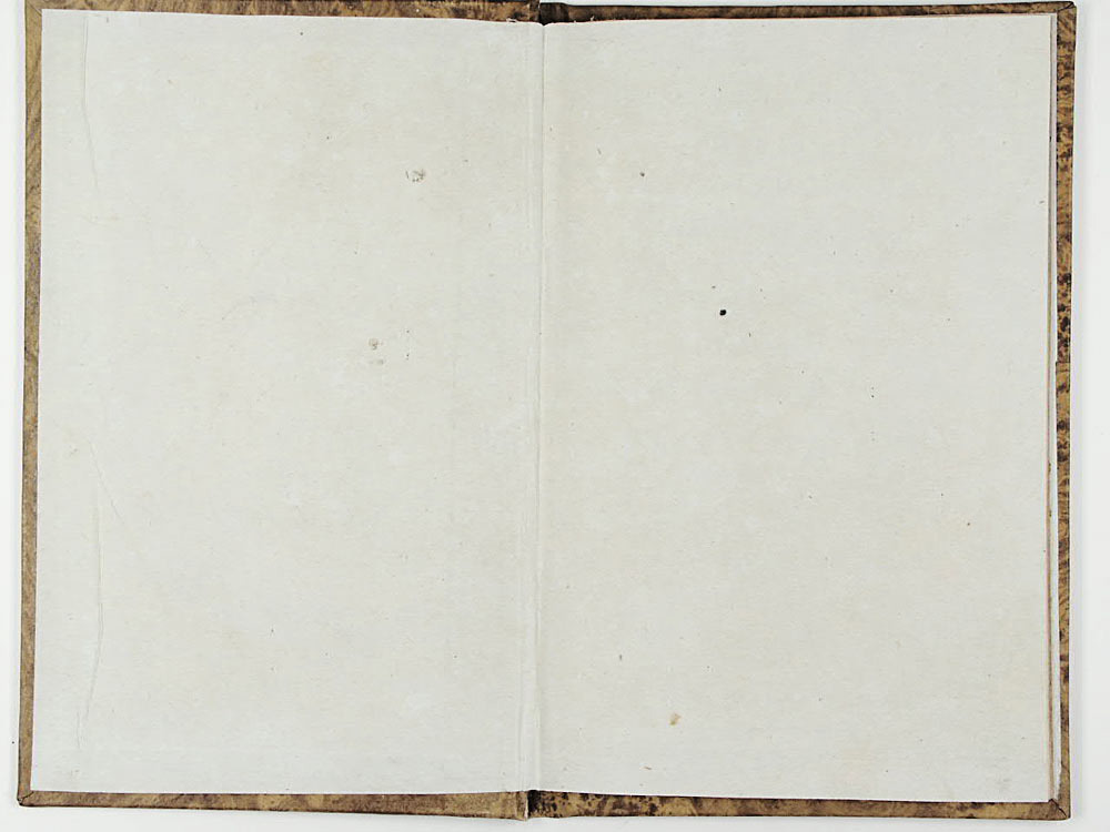 La testa di bronzo ossia La capanna solitaria