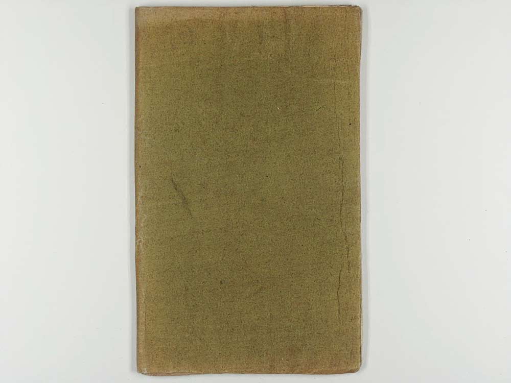 Donna Aurora o sia Il romanzo all' improvviso