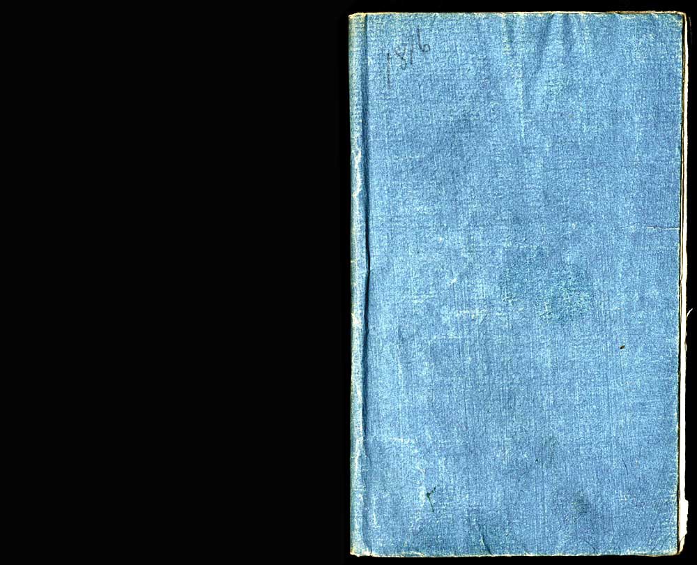 La testa di bronzo o sia La capanna solitaria